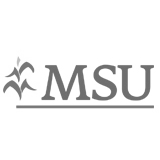 MSU